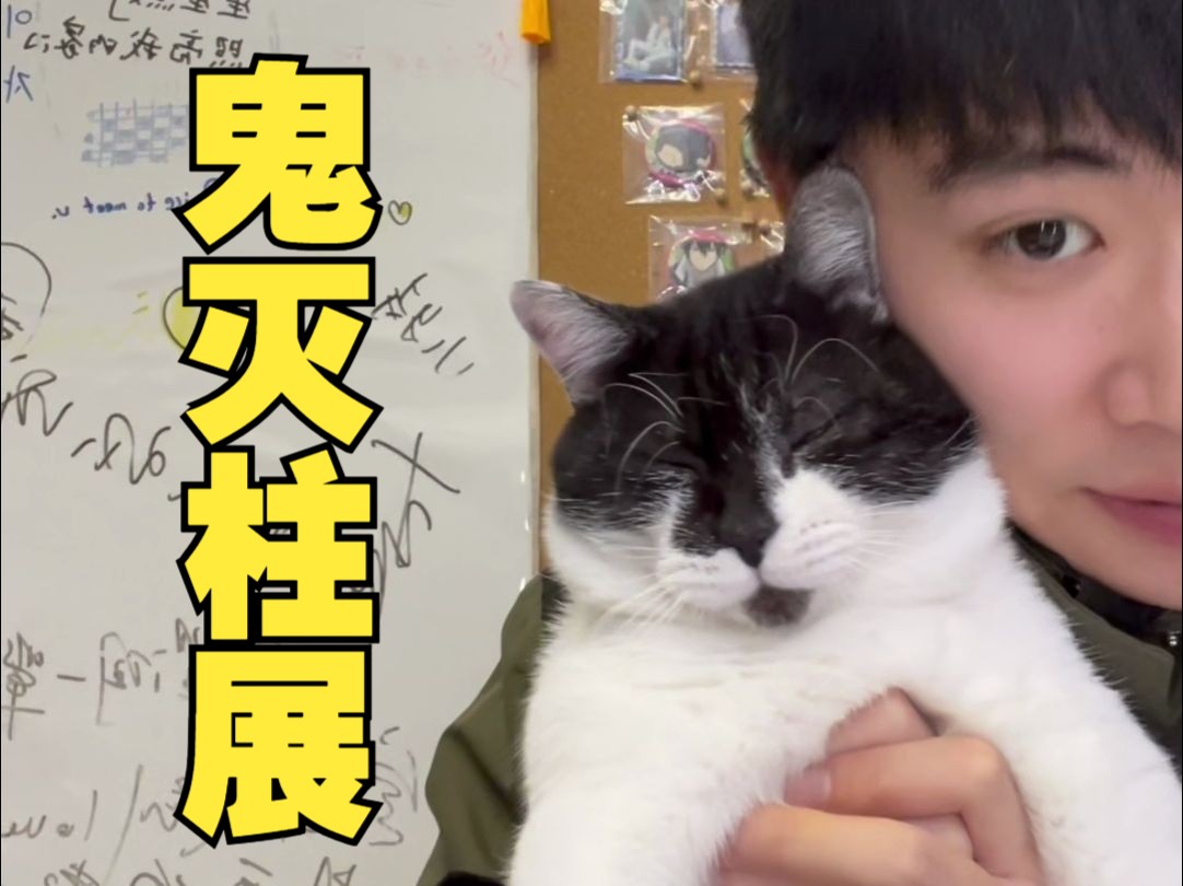 完败猫猫……