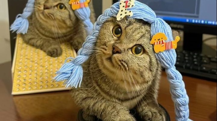 人~咪的发型基础不？