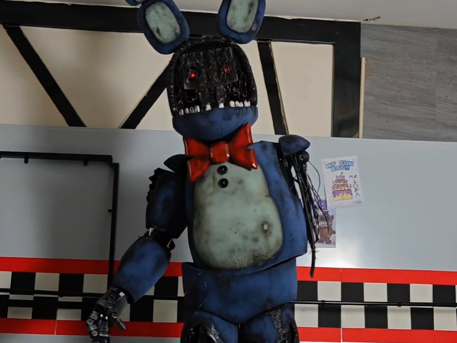 家里的老邦尼动起来了？！