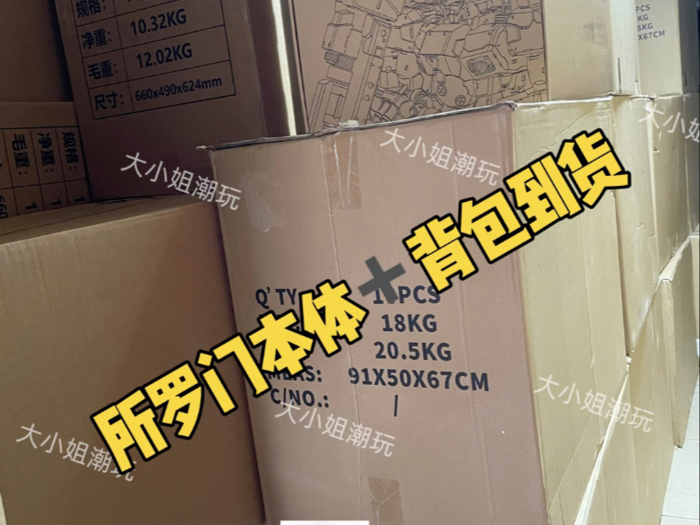 所罗门酸浆果本体➕背包到货！#高达模型 #拼装模型 #国模#所罗