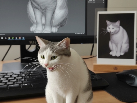 当奀妹变成手办