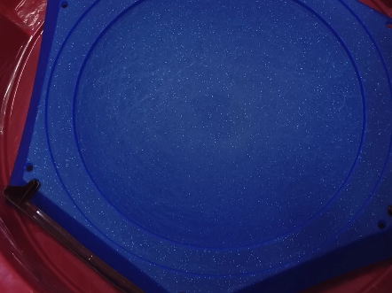 暴风天马VS獠牙雄狮