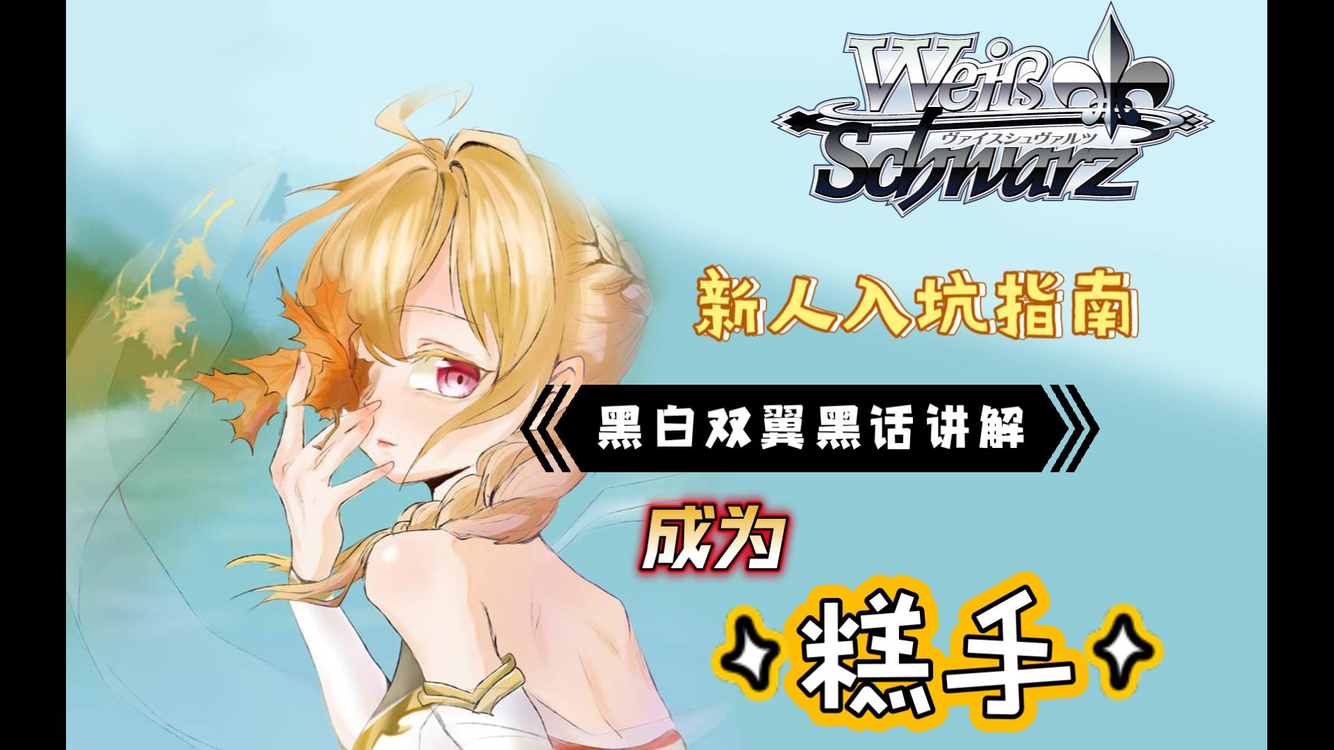 【ws黑白双翼】一个视频看懂ws的黑话