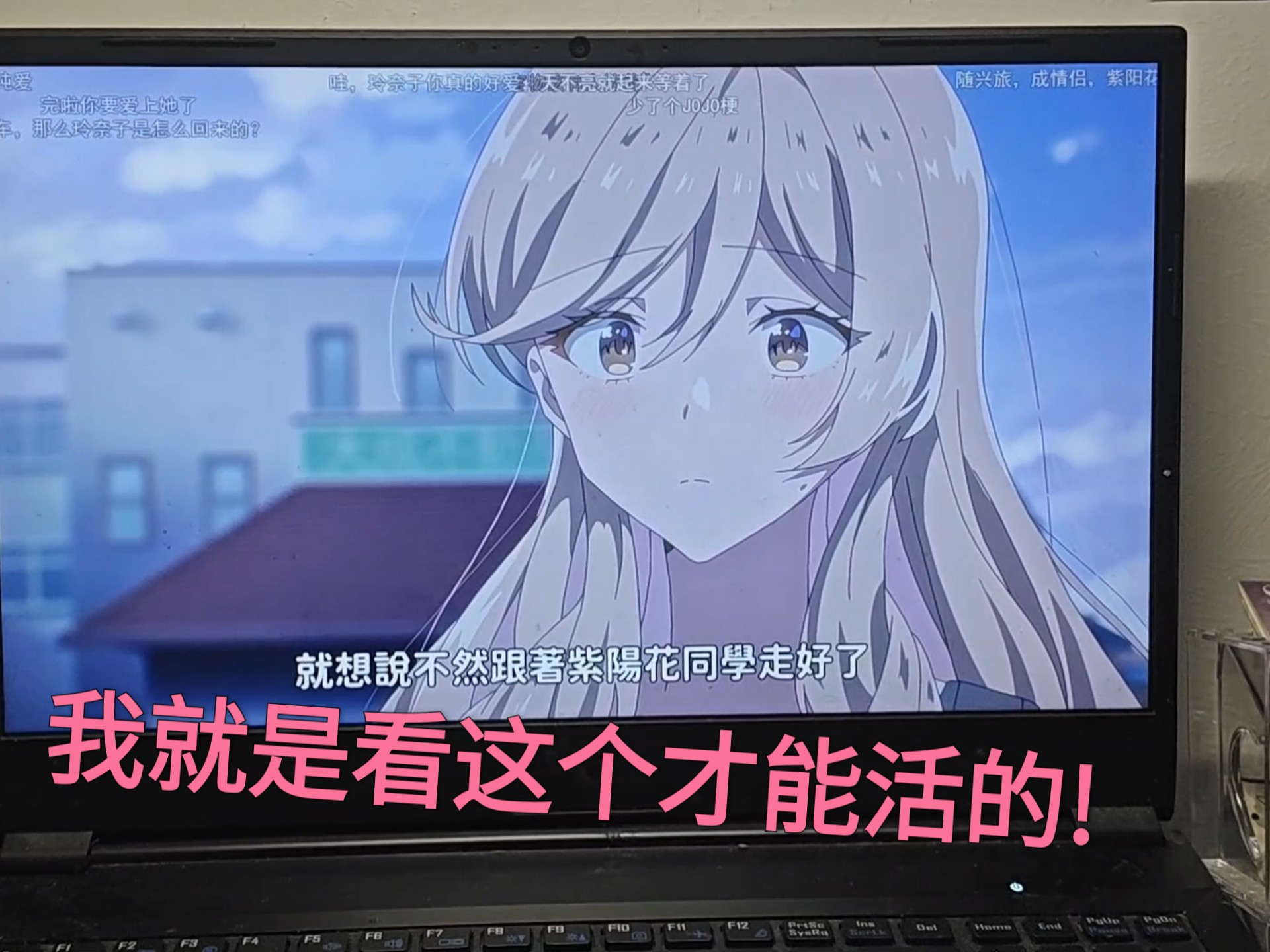 紫阳花如此美丽!