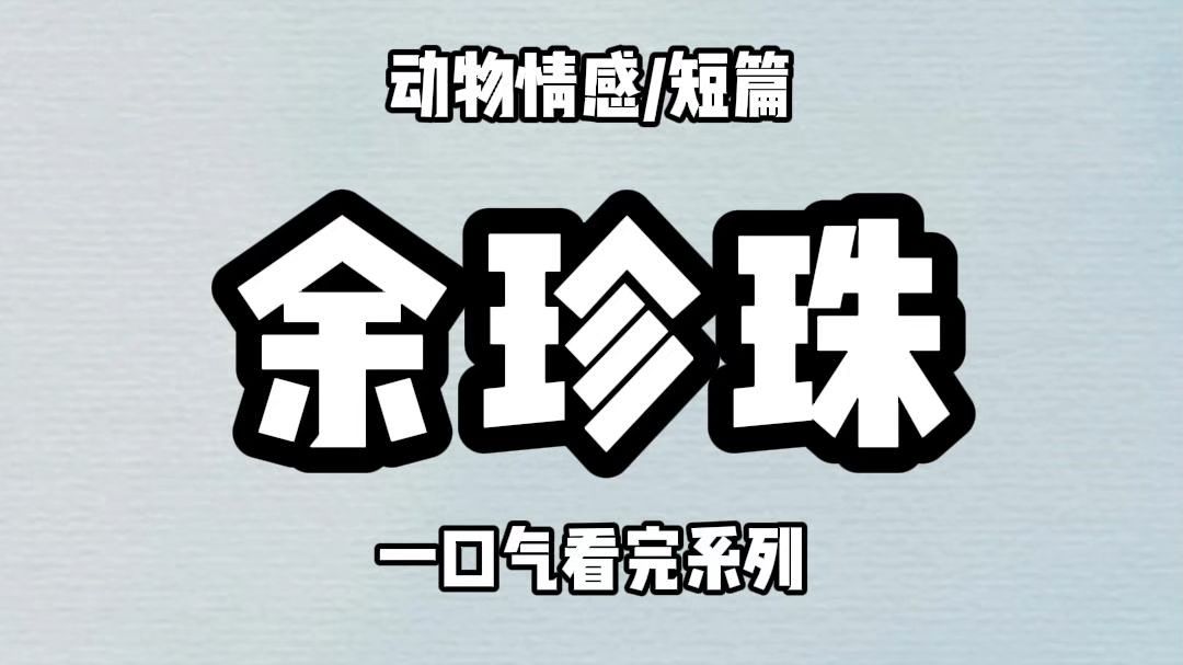 （全文完）我是一只猫。奶奶带着我参加了奖金一百万的宠物综艺。