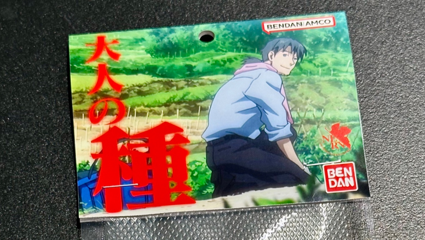 立此视频再不买EVA相关乱七八糟