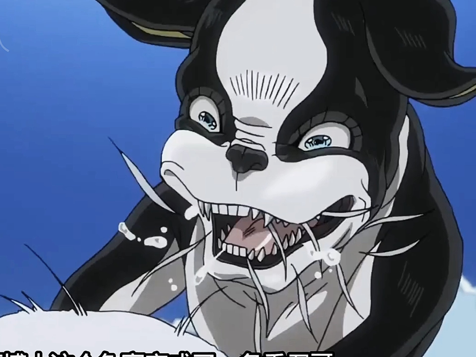 伊奇被出生乔瑟夫卖了（jojo的奇妙冒险）