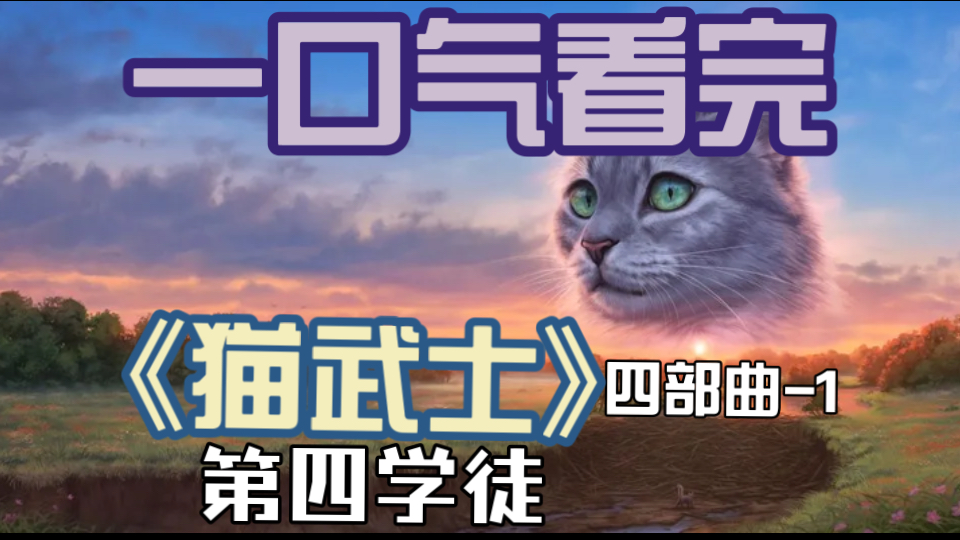 一口气看完 高分外国小说《猫武士》四部曲1第四学徒 湖区干