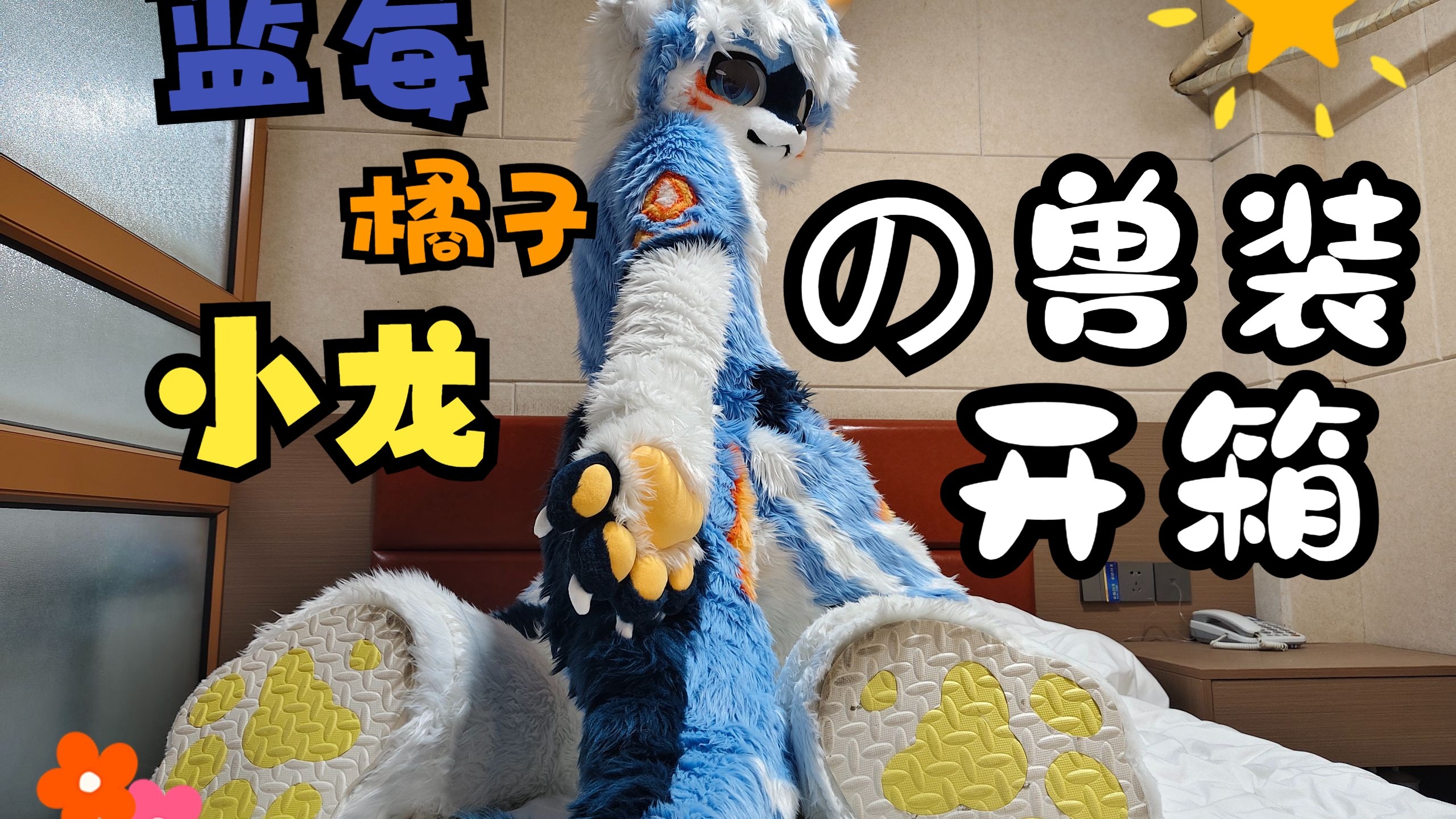 【兽装开箱】蓝莓橘子味小龙出生惹！