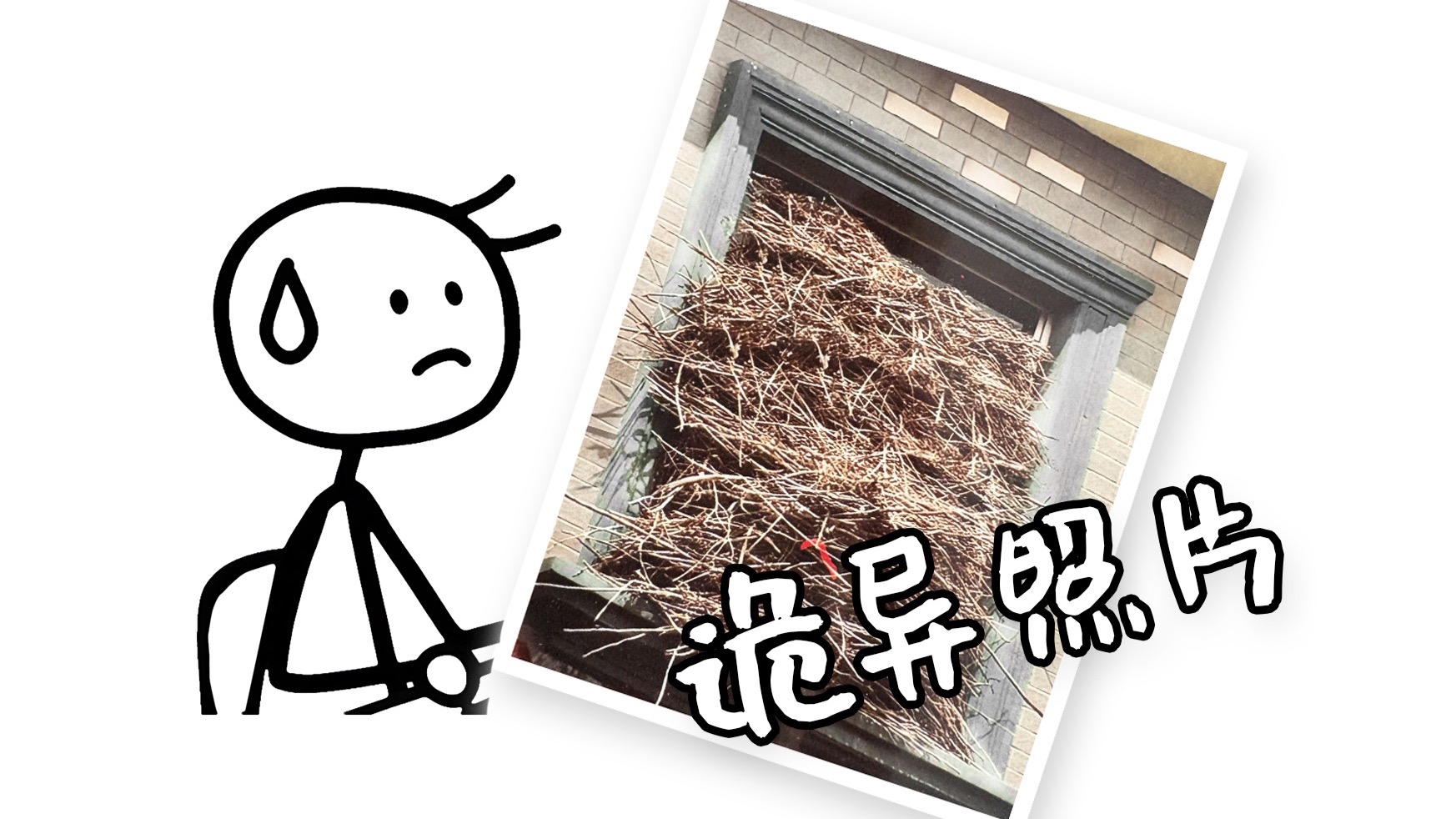 【原创悬疑】投稿者病逝后，他的女儿送来诡异照片...
