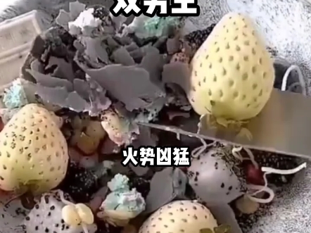 ［厄敌］《庄园先生和夫人》3