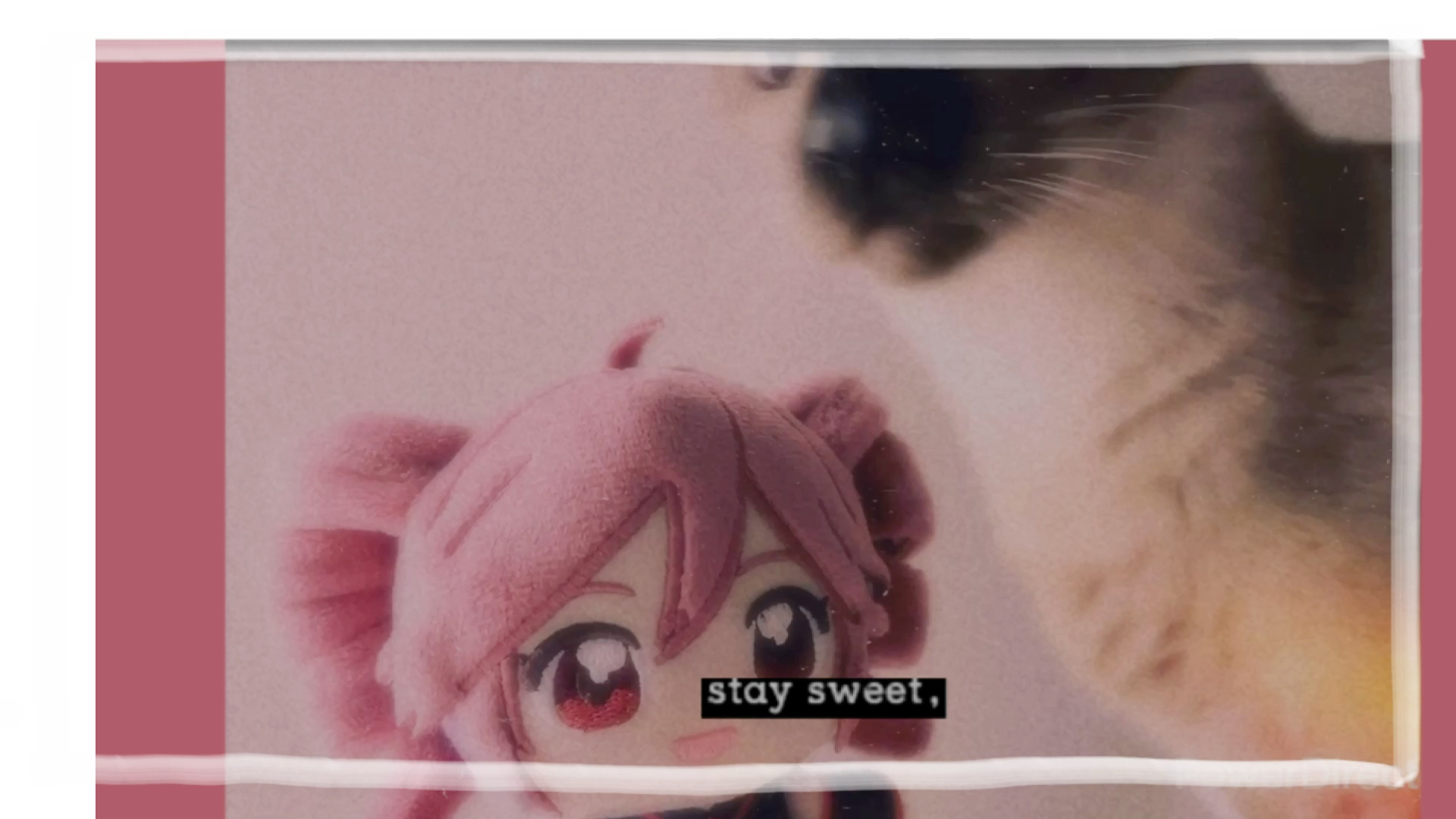 我不是天才吗？？？