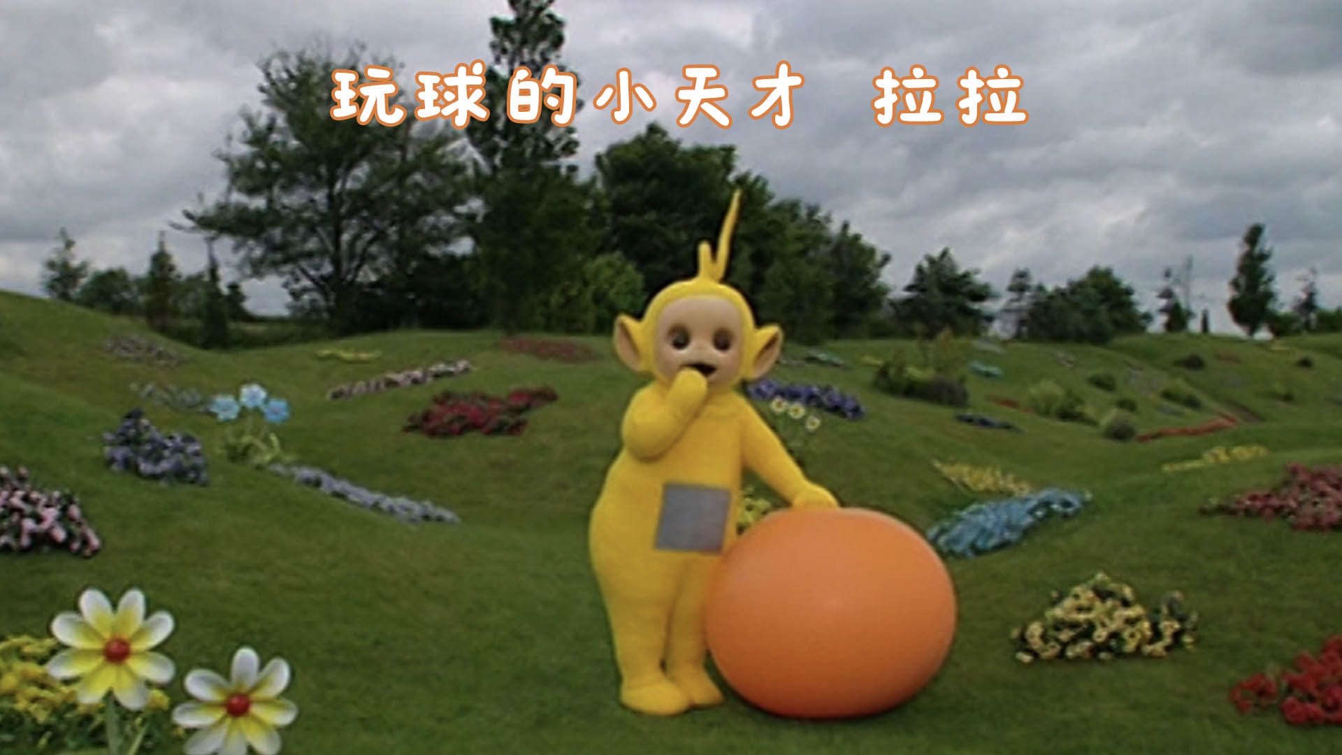 和拉拉一起来玩球吧！