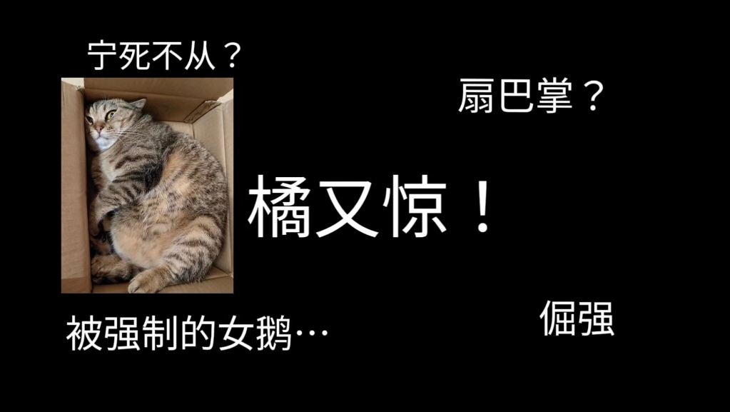 【橘性向音声剧情向】扇巴掌！就算你硬留我在你身边，我也要走