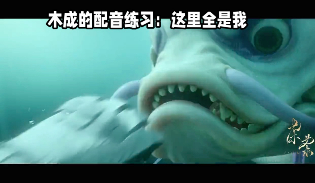 木成的配音练习：这里全是我，动画片二郎神预告片段，仅作为配音练