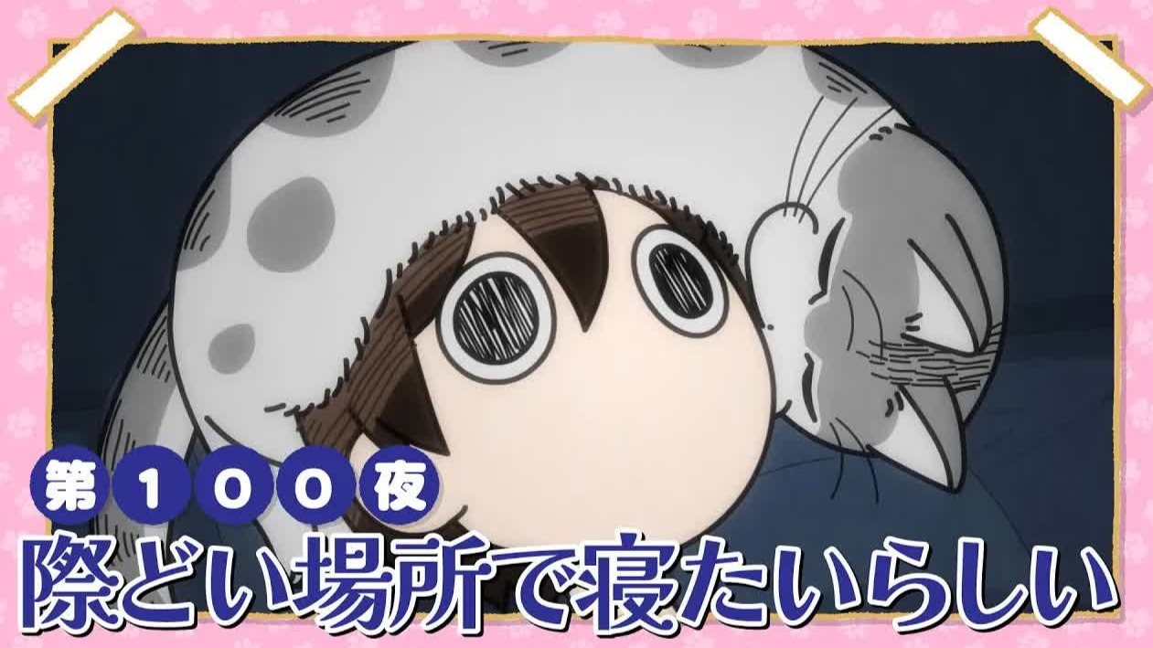 【最终话】与猫共度的夜晚/每晚和丘丘在一起 第三季 第100夜