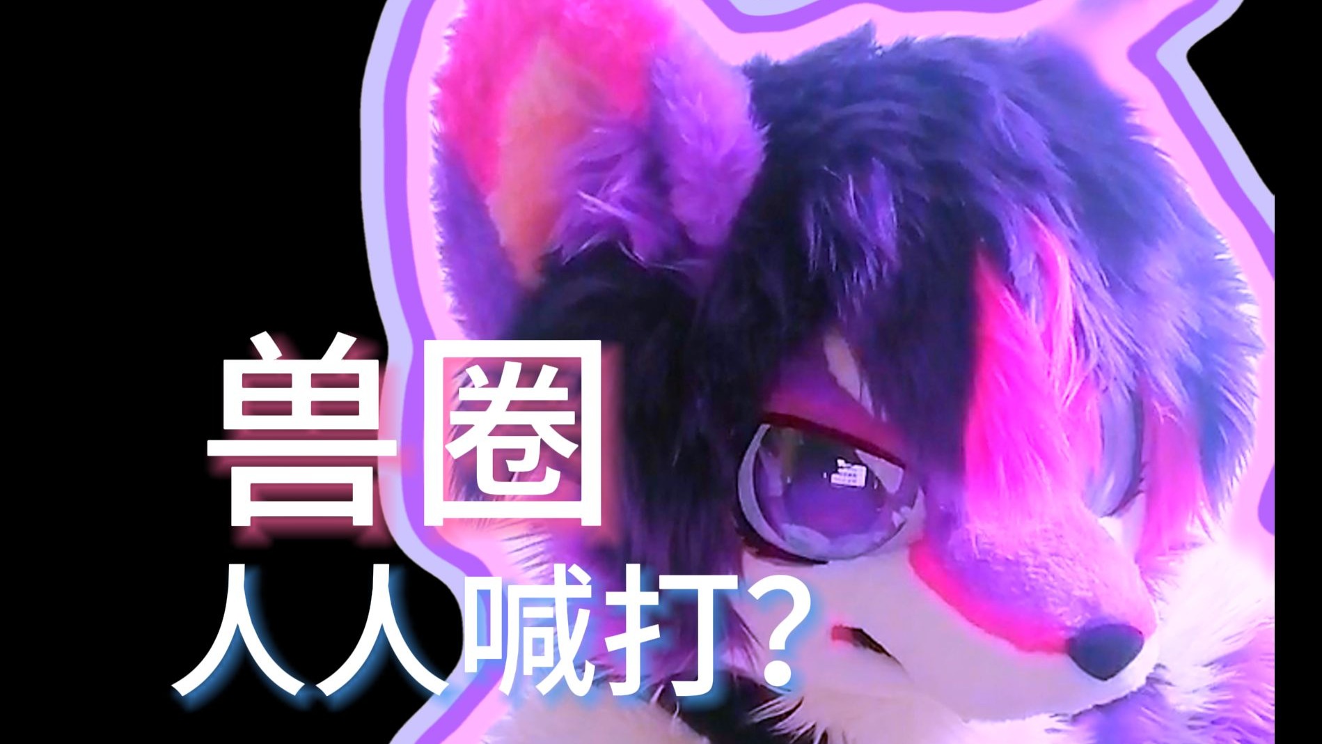 【Furry杂谈】福瑞控真的人人喊打吗？