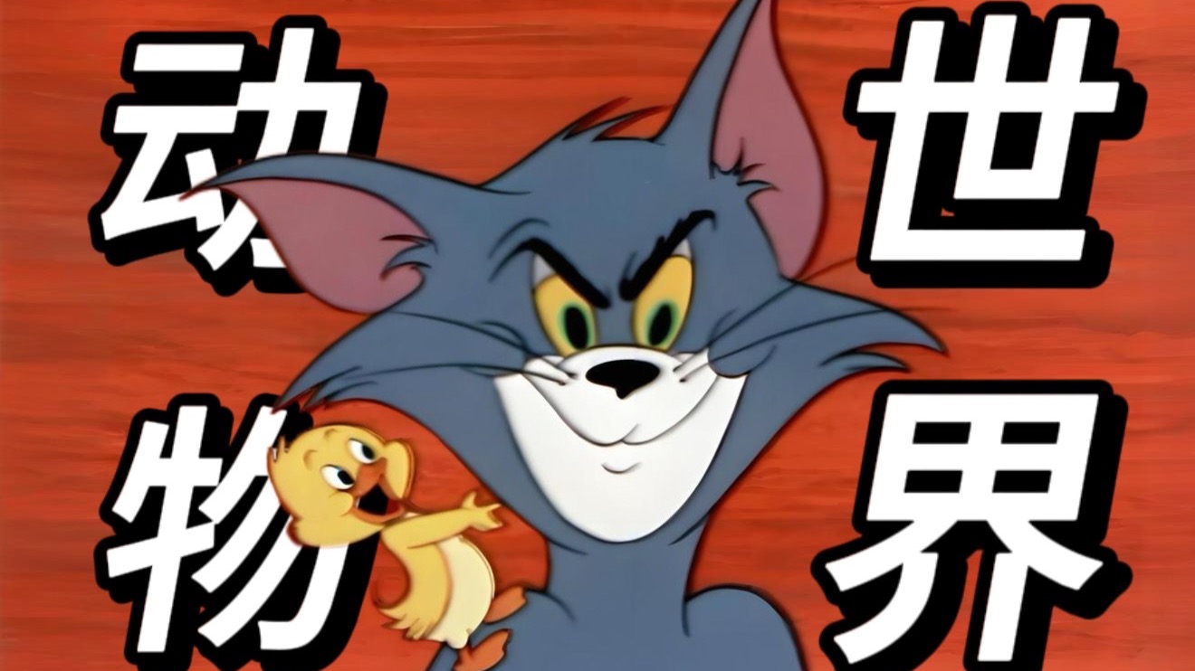 惊！《猫和老鼠》中的动物竟然这么多？