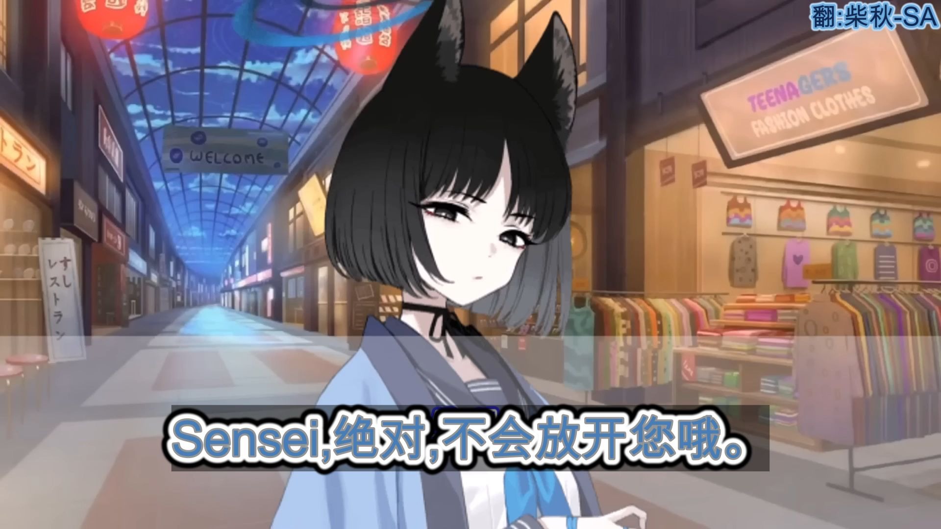 跟踪之猫