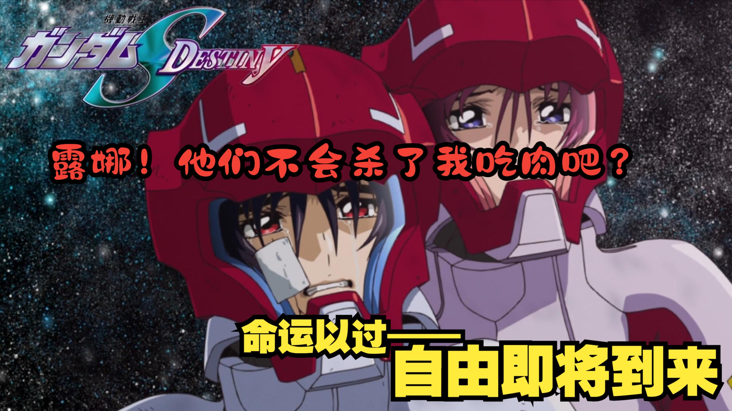 【碎碎念念】高达SEED “DESTINY”与“FREEDOM” 结局与开始