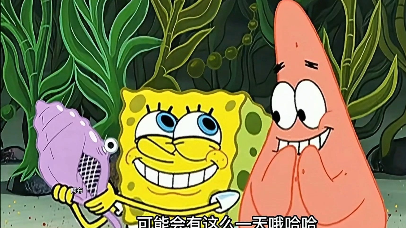 比奇堡荒野求生，海绵宝宝有一个可以实现愿望的魔法海螺！