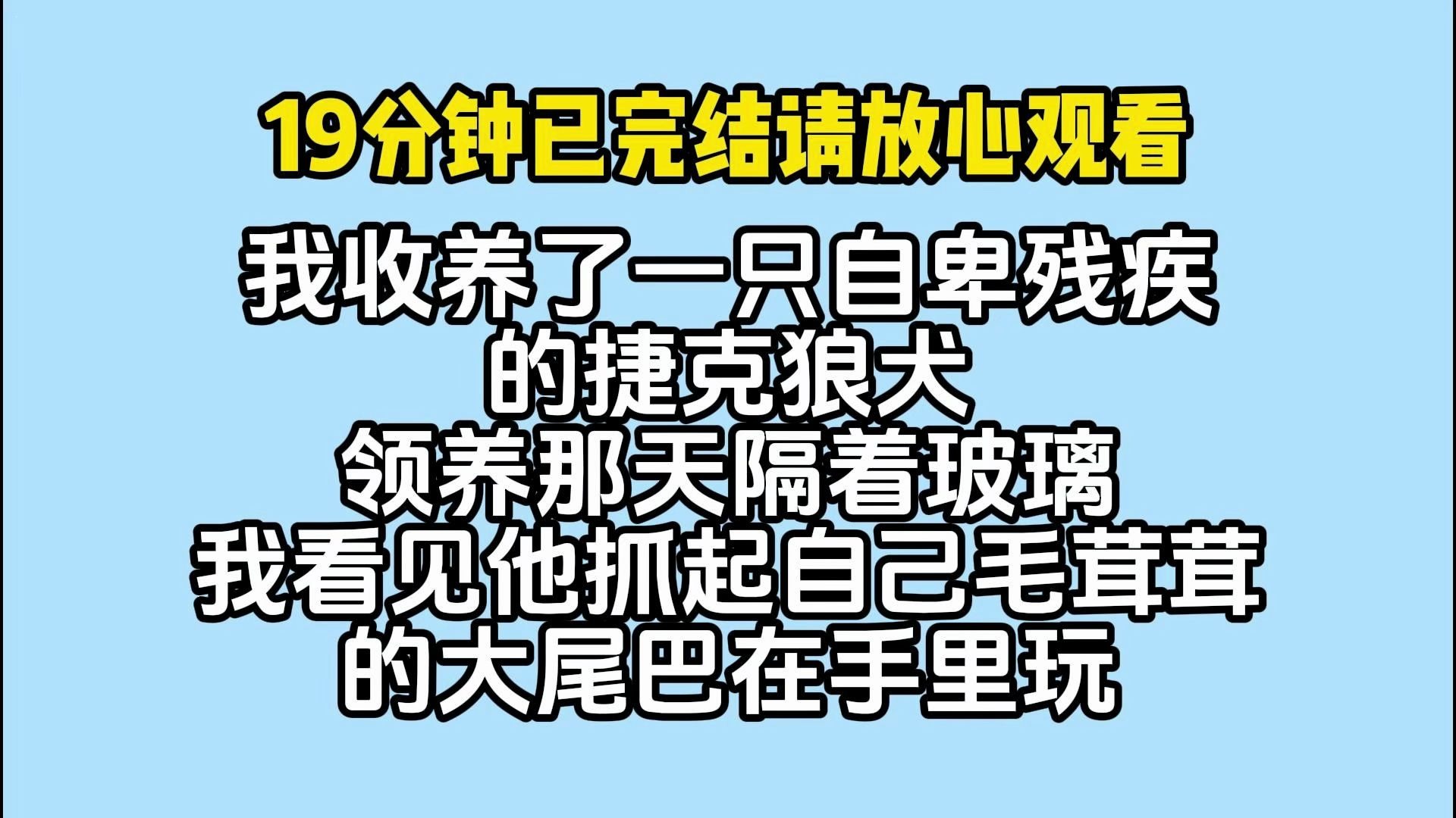 【一更到底】双男主/动物主角/主受/甜宠/HE/救赎/治愈/一口