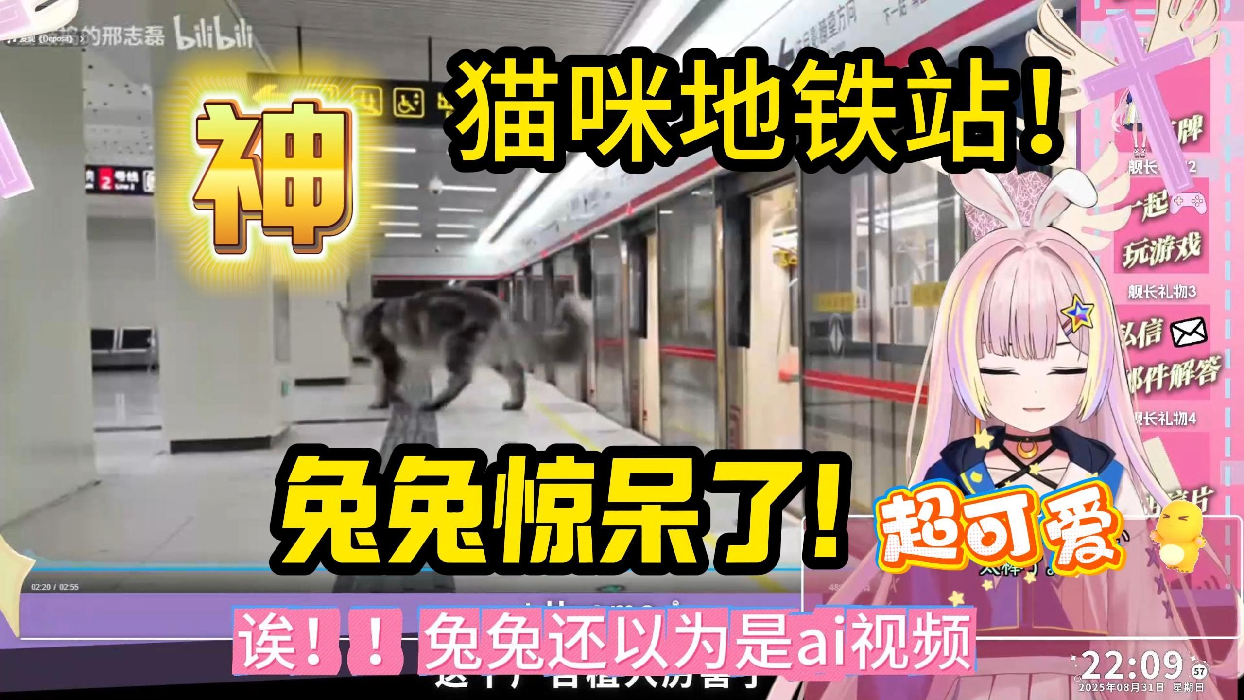 【月乃兔】喜欢小动物的日v看《猫咪地铁站通车啦》大为感动！