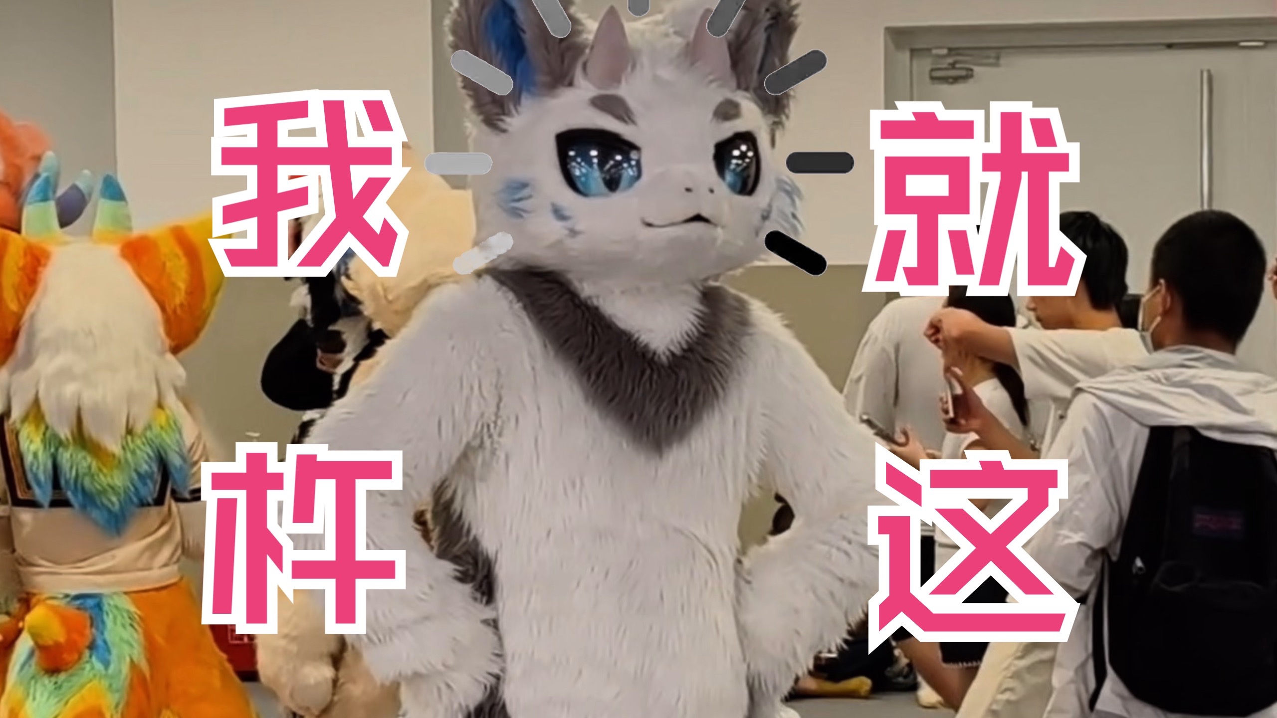 【Furry兽展】出毛出的杆杆热成杆杆了 -2025极兽聚 逛展vlog
