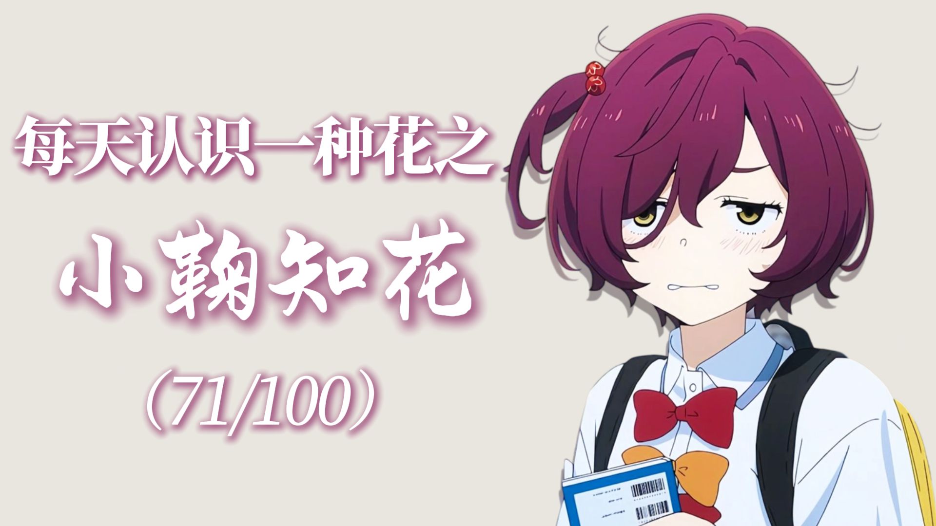 “小鞠知花的花语是怯懦的勇敢与无声的绽放。”