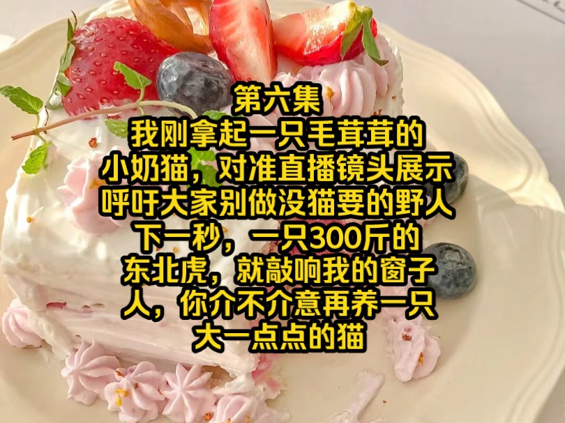 《星落救助》第六集，我刚拿起一只毛茸茸的小奶猫，对准直播镜头