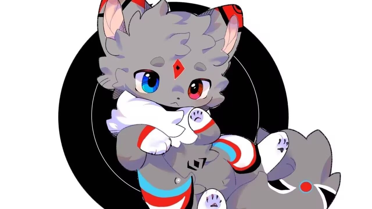 7.8夜间直播回放《孤独的猫猫和房管》