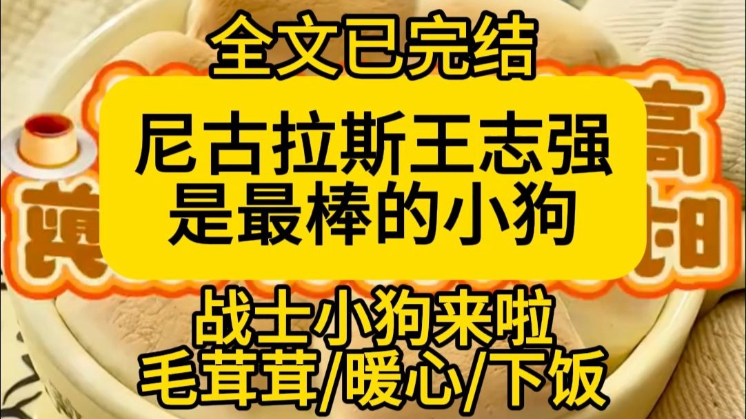 【全文已完结】尼古拉斯王志强！你就是最棒的小狗！