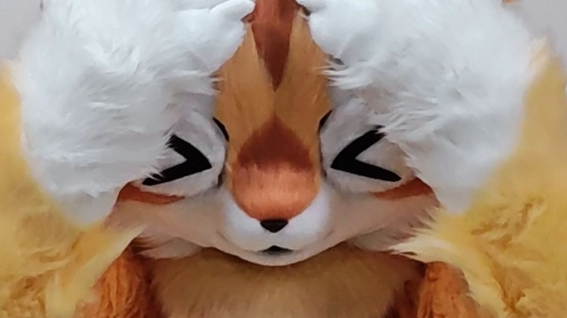 【万物通行】毛毛表情切换：当可爱外表遇上灵魂演技