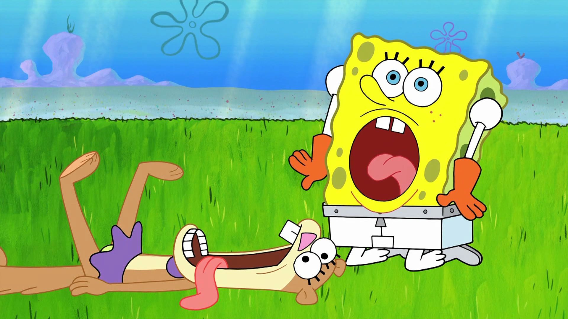 小海绵住手，你会被关小黑屋的！