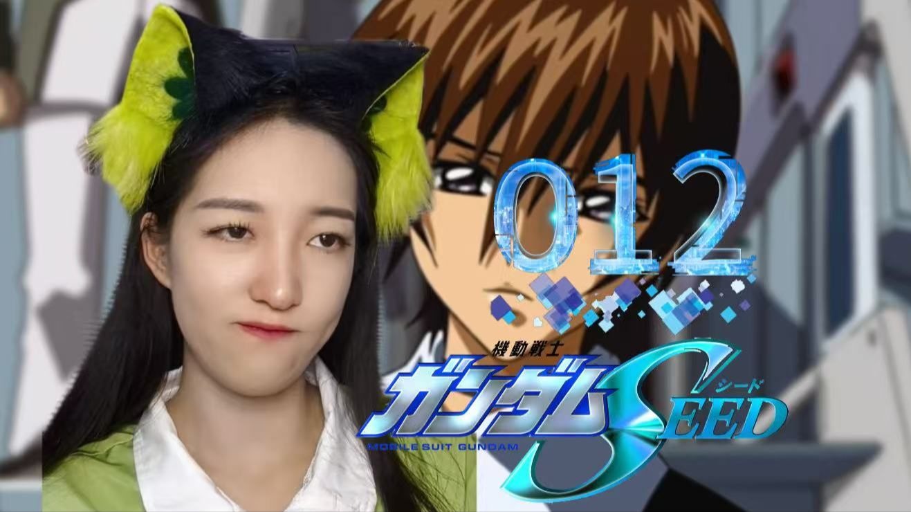 胡椒reaction 2002版《高达SEED》12：我是多么希望你能离开