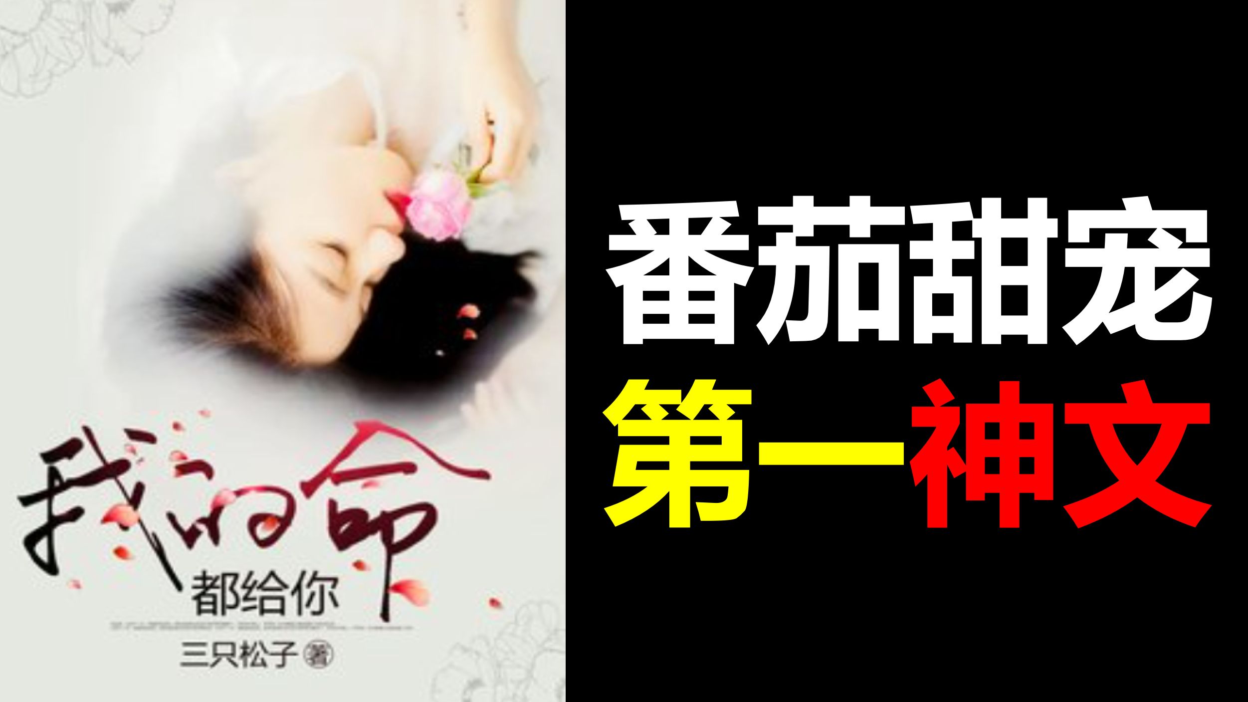 番茄狗血天花板！《我的命，都给你》：全书最正常的是条狗 【仙粮