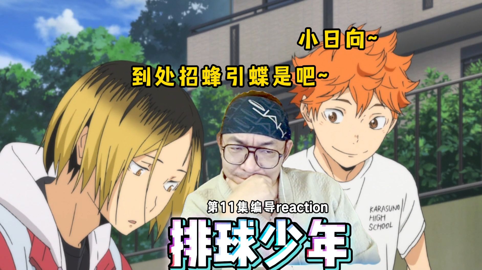 【老李看片】船新的编导reaction，小日向你就到处撩吧？~排球少