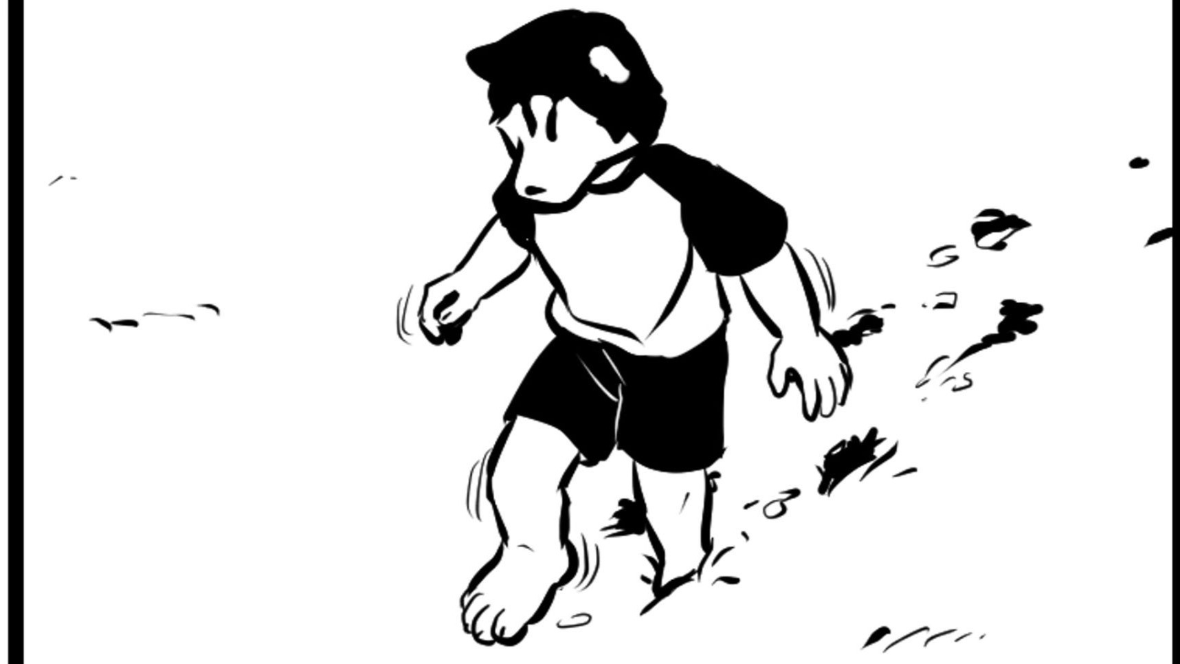 注定拍不到的照片