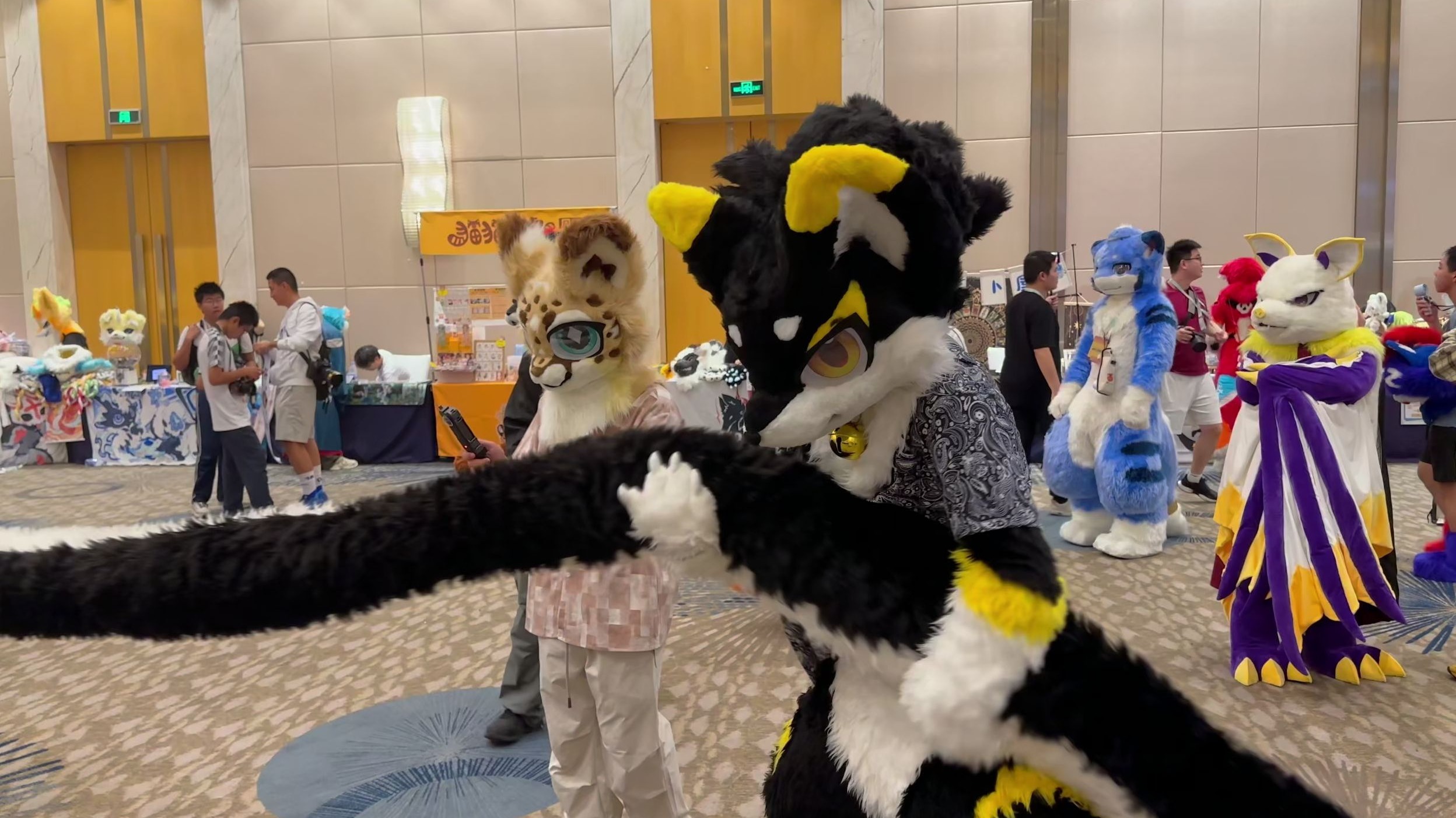 老大！那个大长尾巴又来了！