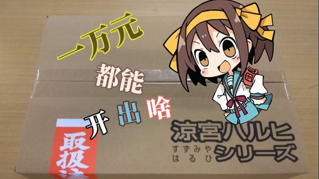 【凉宫春日】在凉宫春日的众筹花一万块都能获得什么？