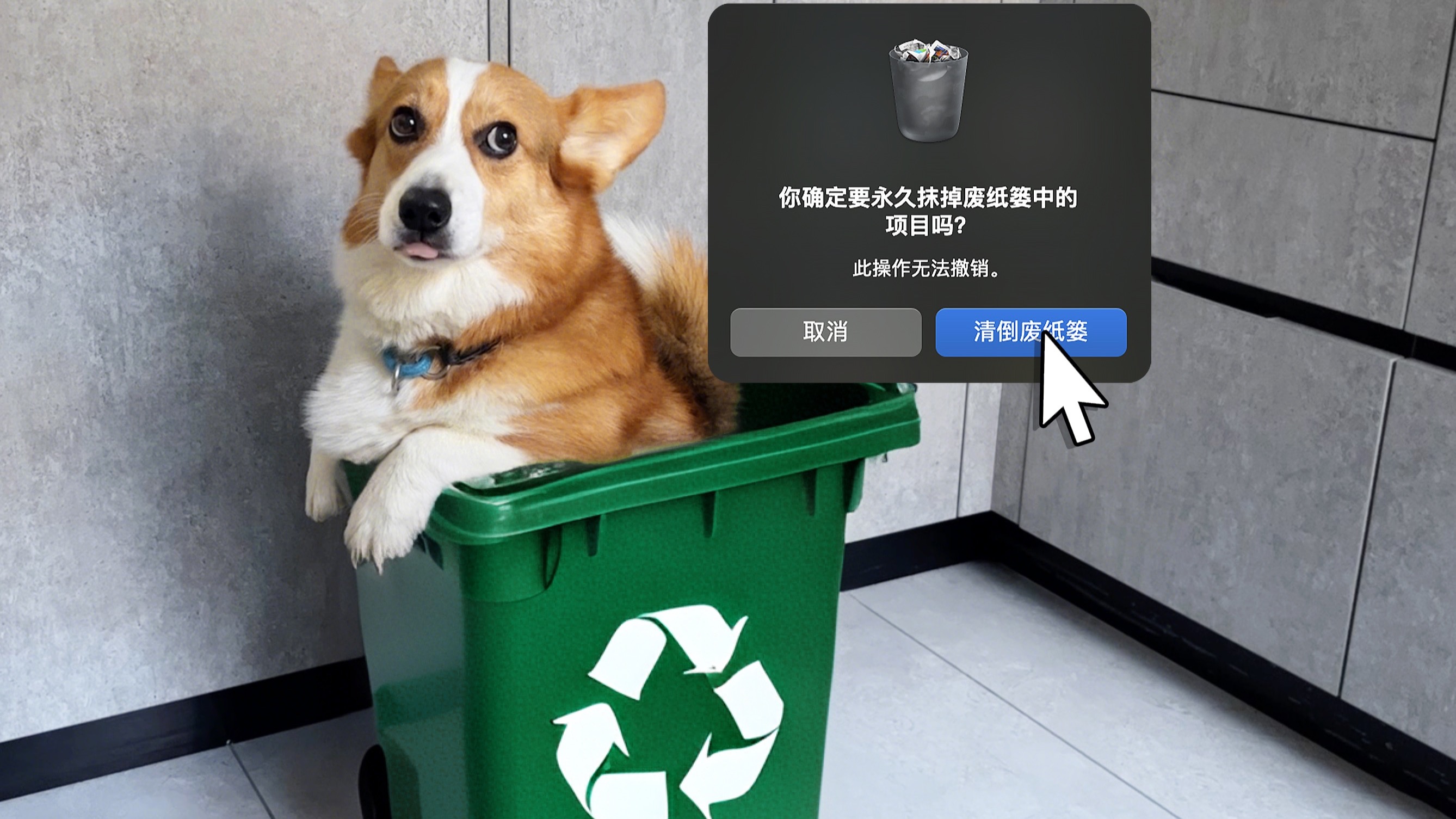 这能是碳基生物干出来的事？