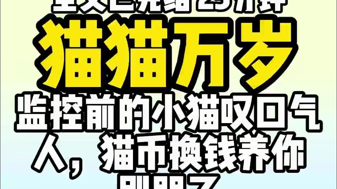 （已完结）猫猫万岁，监控前的小猫叹口气：人，猫币换钱养你，别哭了