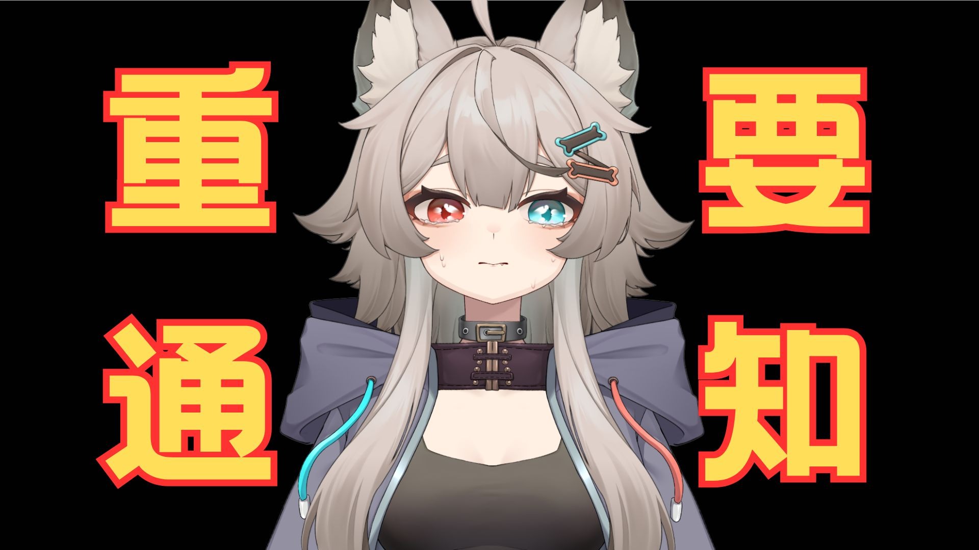 从t台转入b站一个月，最终还是做出来这个决定