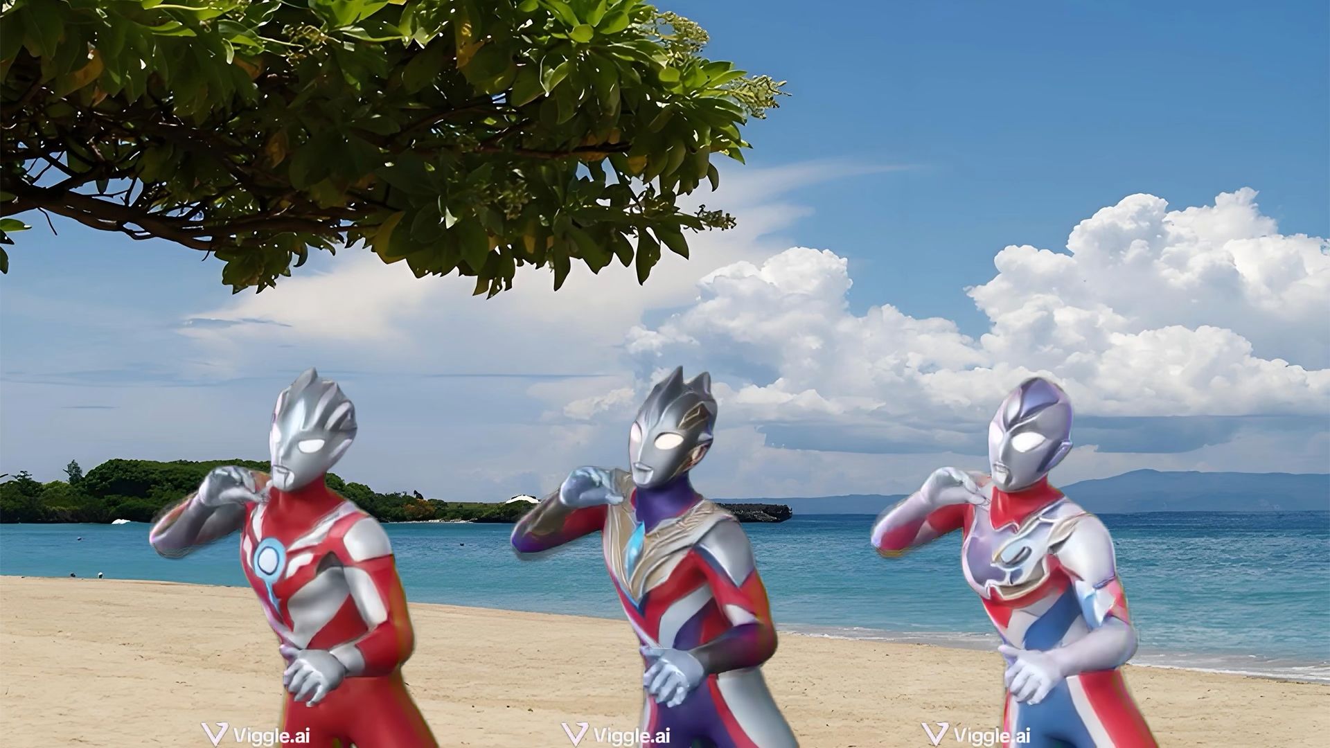 得知奥美迦坠机的三奥