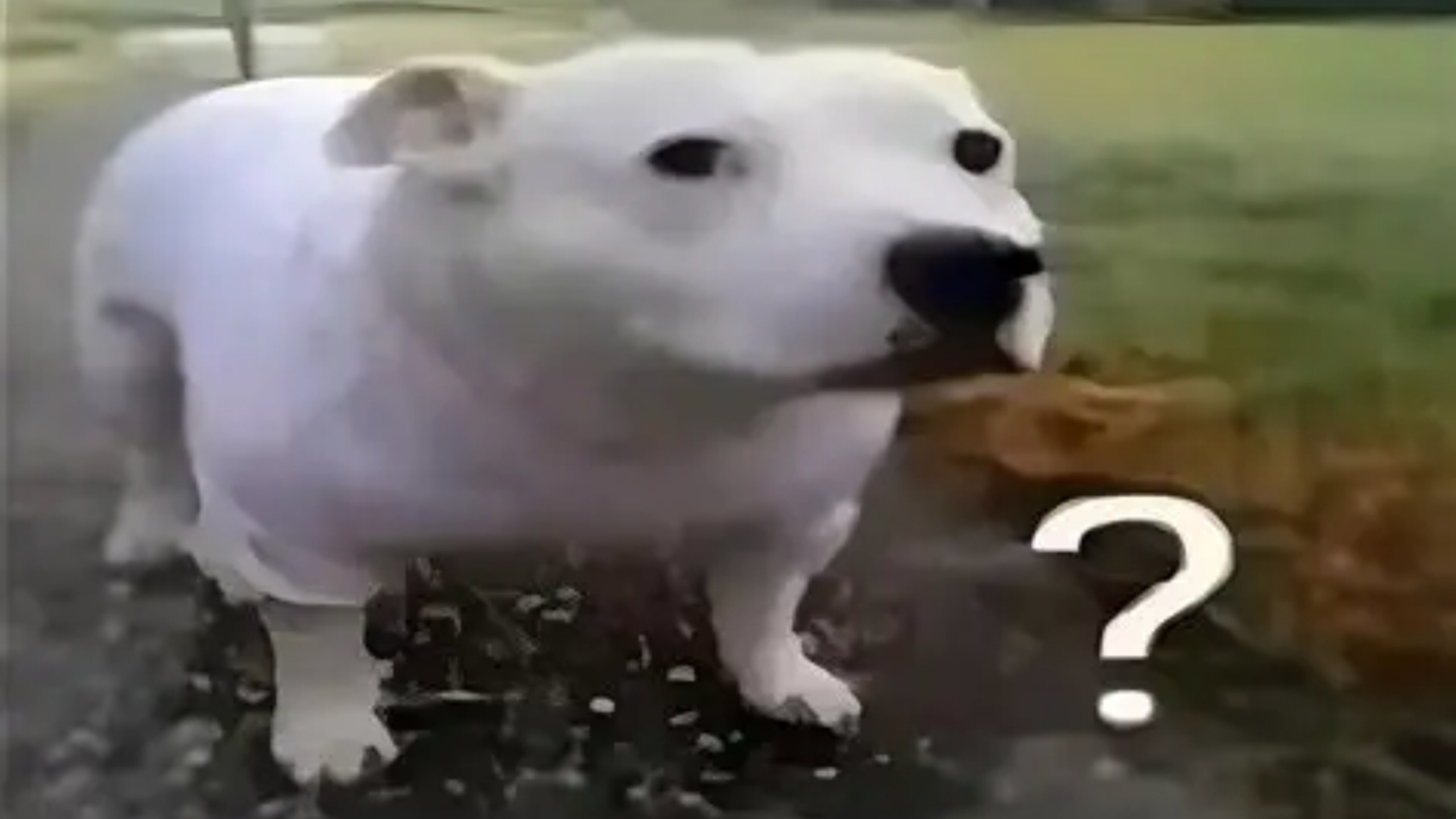 这是一个关于大坝的三角洲动画