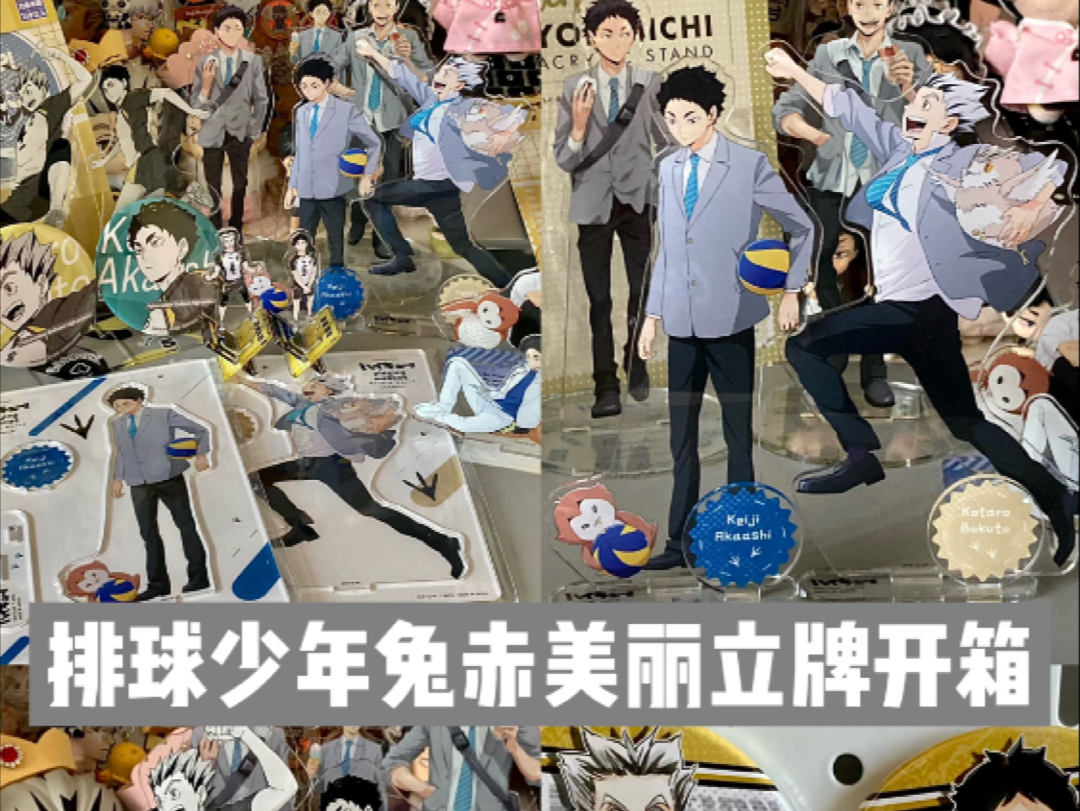 谷子开箱/拆两箱排球少年的木兔赤苇美丽立牌们…美味极了！