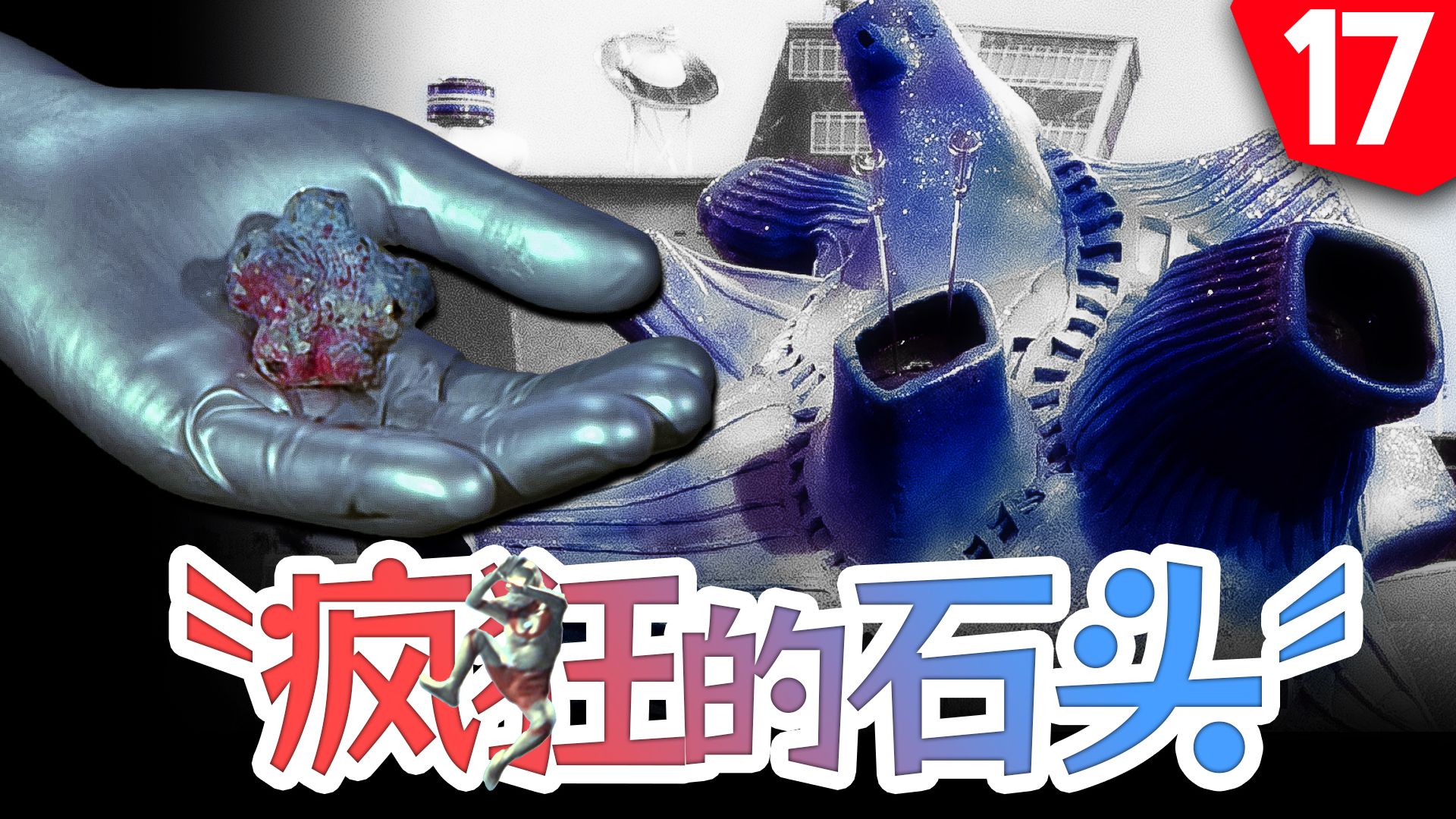 【奥说】被一块石头偷家!——通往无限的护照