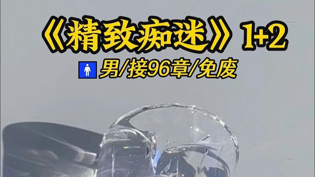 精致痴迷2