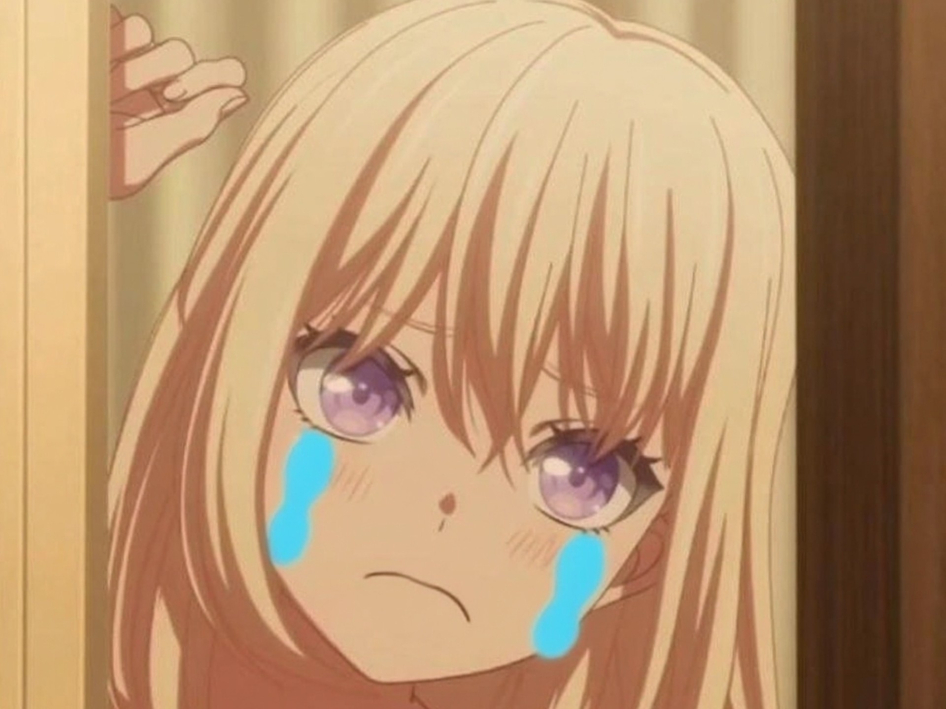 初华：mujica不能解散！！！