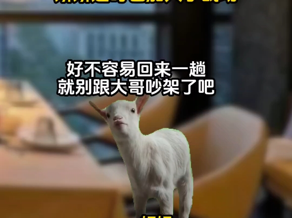 恶毒女配是我闺蜜《团宠跟班》第16集